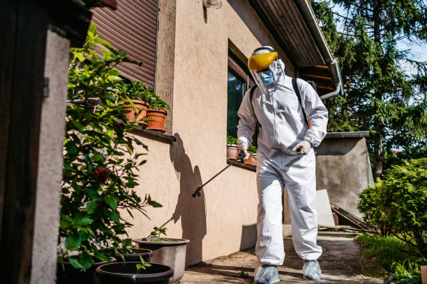 Best Pest Prevention Services  in Wlowbrook, IL