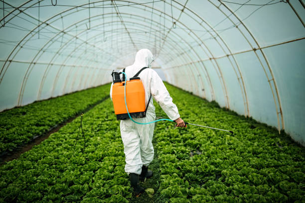 Best Residential Pest Control  in Wlowbrook, IL