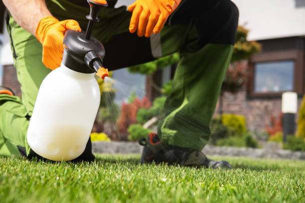 Best Local Pest Control Services  in Wlowbrook, IL