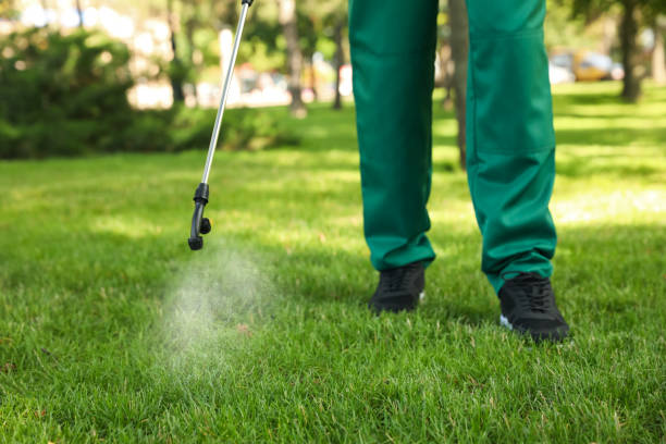 Best Ant Control Services  in Wlowbrook, IL