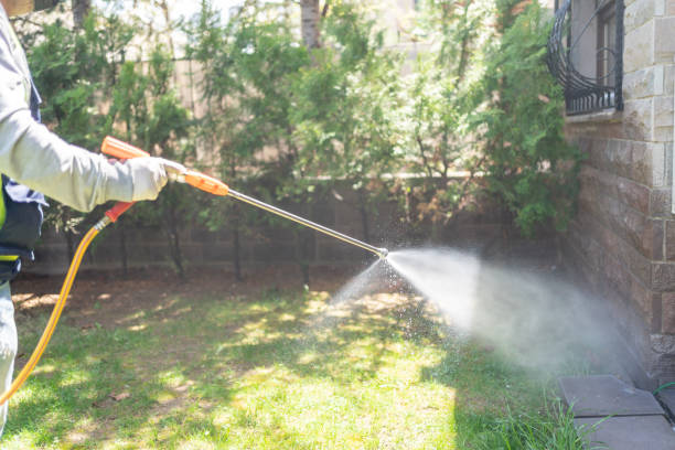 Trusted Willowbrook, IL Pest Control Experts