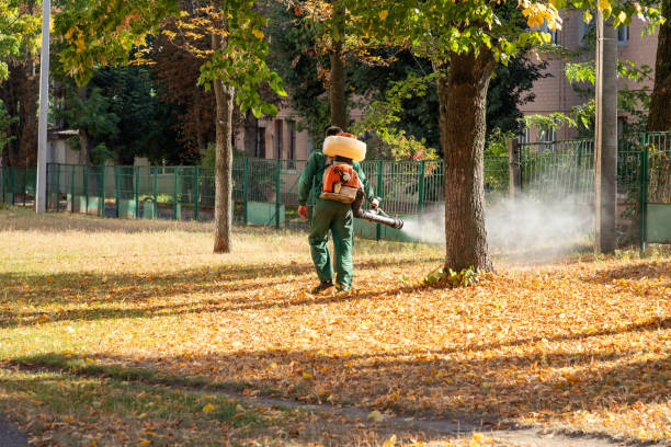 Best Rodent Control Near Me  in Wlowbrook, IL