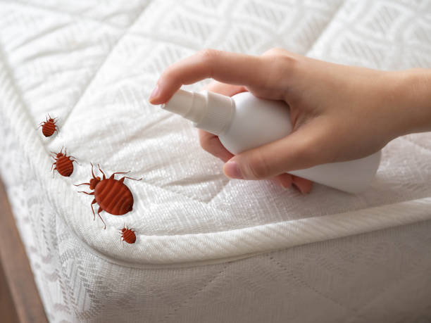 Best Pest Inspection Near Me  in Wlowbrook, IL